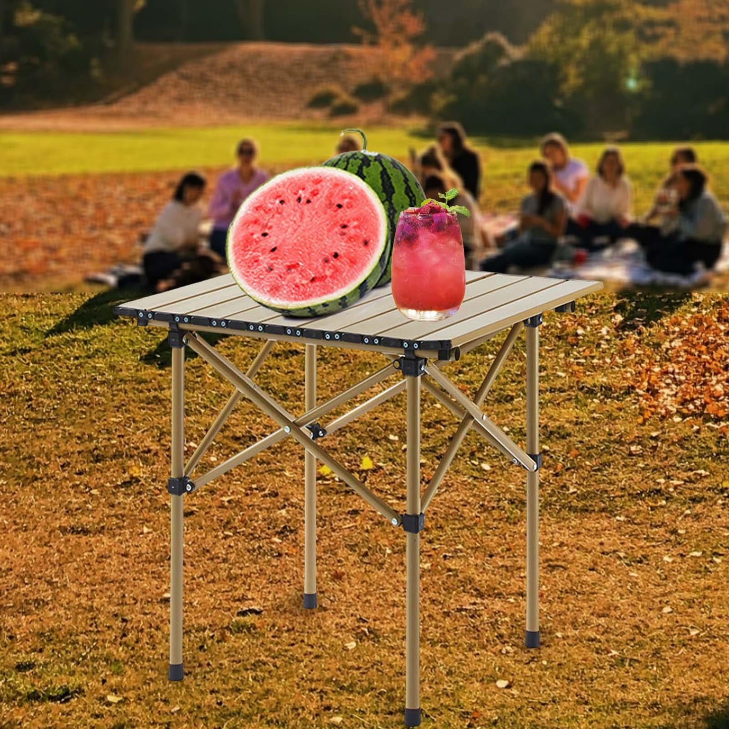 Camping Foldable Dining Table